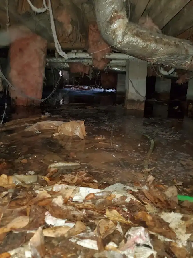 Crawl space flood assessment for Leak Detection & Repair in Mauldin