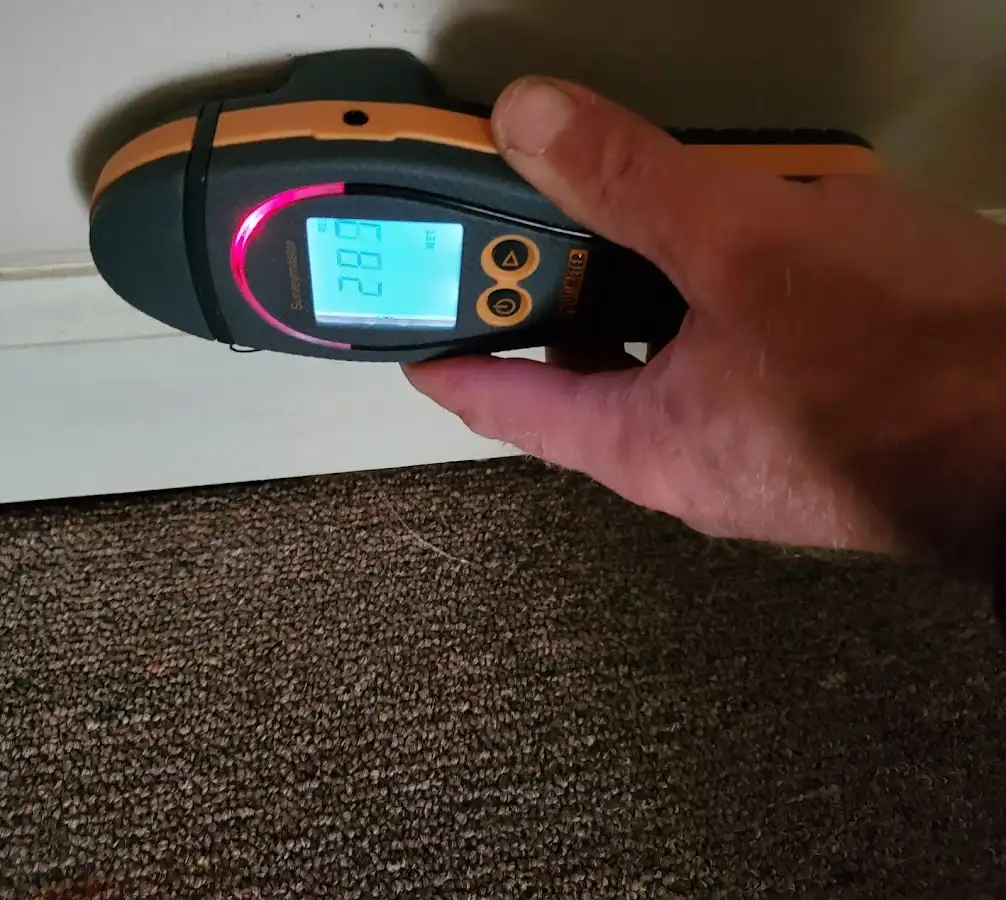 Moisture detection at baseboard during Burst Pipe Cleanup in Mauldin